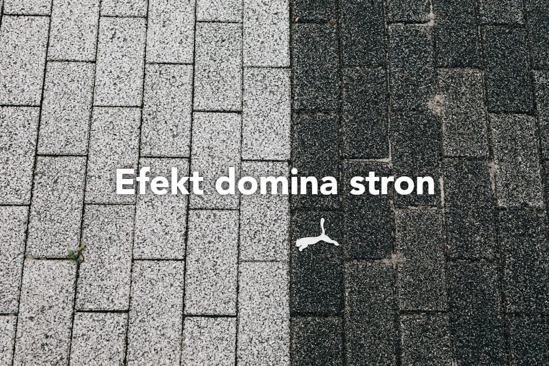 Jak strony internetowe tworzą efekt domina w biznesie – analiza 2024